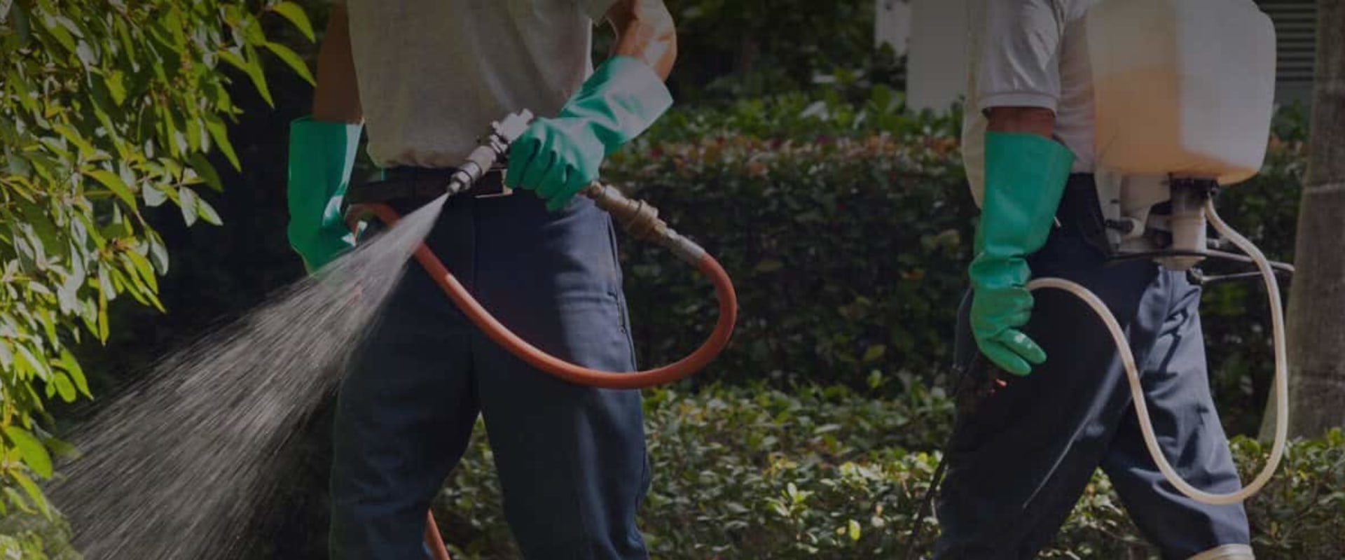 How To Choose The Right Pest Control Service Company For Lawn Pest Control In Woodstock, GA